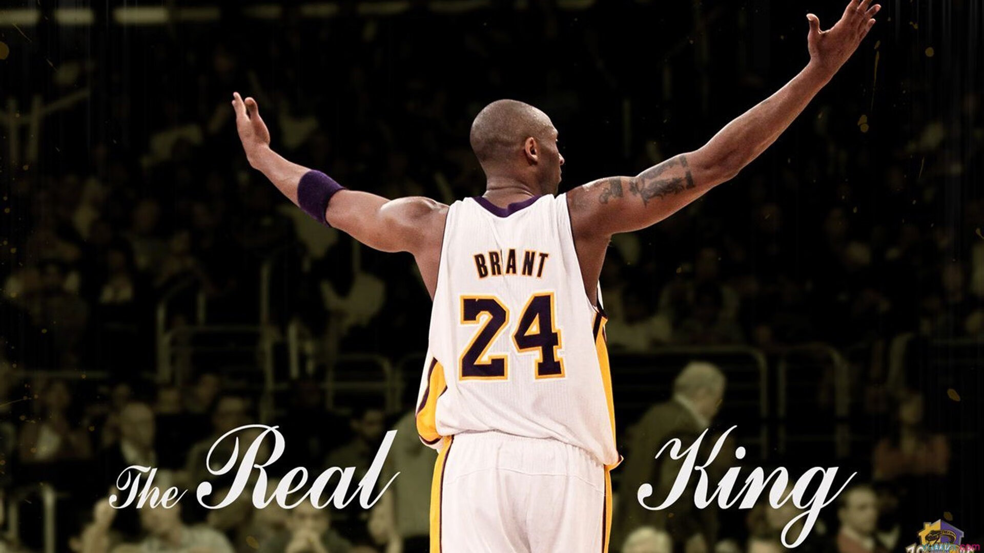 _光影攀岩秀：视觉盛宴与运动激情结合_，攀岩摄影